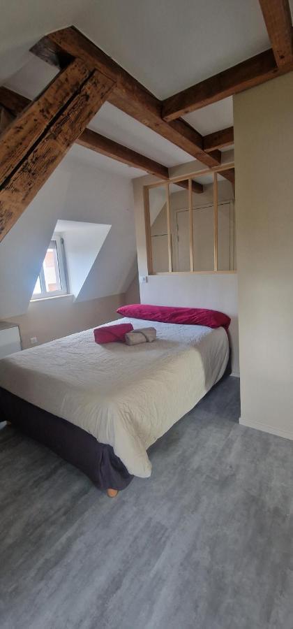 Appartamento Henner Des Trois Frontieres Saint-Louis  Esterno foto